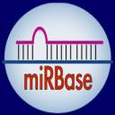 mirbase logo